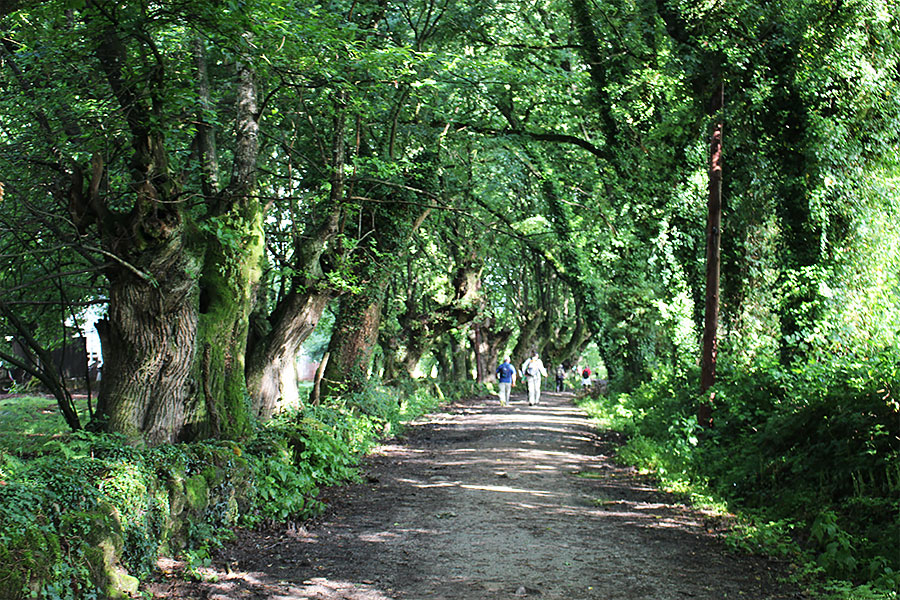 サリアからポルトマリンへ | photo by p.s.m. adventure