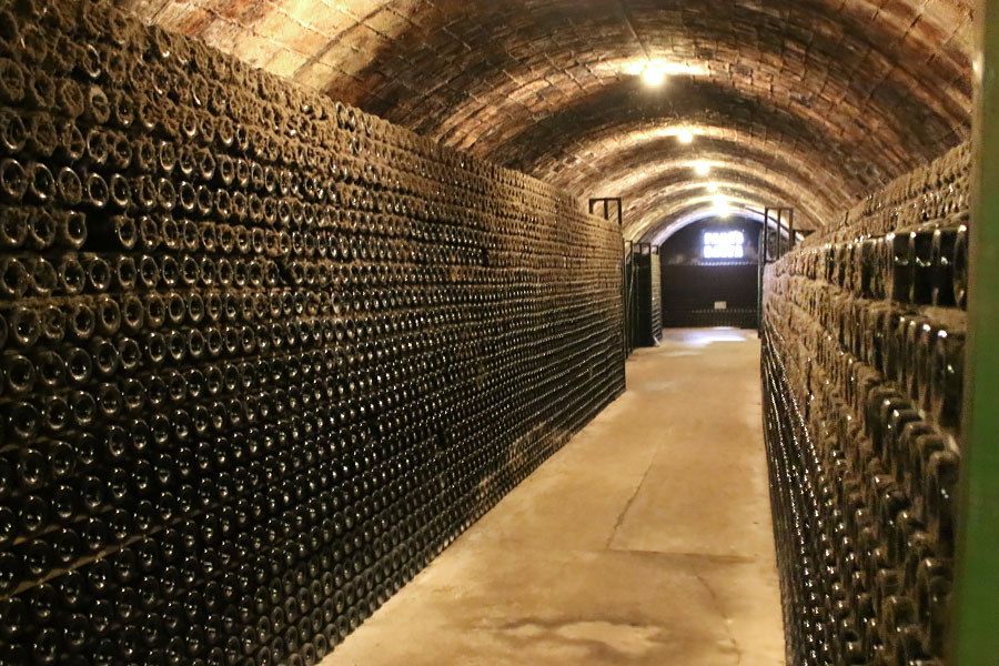 ワインセラー | photo by p.s.m. adventure