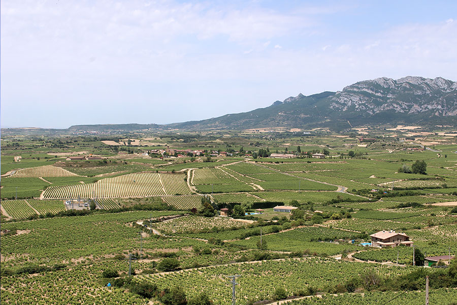 ラグアリディア | photo by p.s.m. adventure