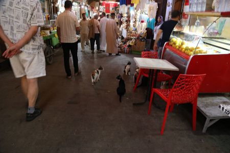 20260824_fez_08.jpg