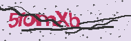 Captcha認証コード